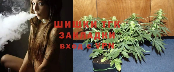 твердый Артём