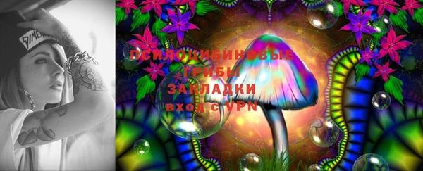 COCAINE Богородицк