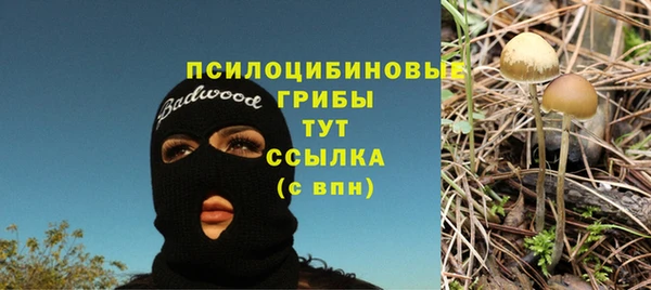 шишки Богородск