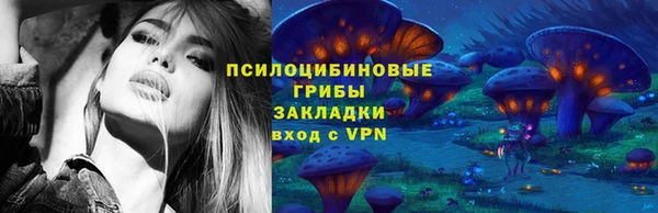 трава Бердск
