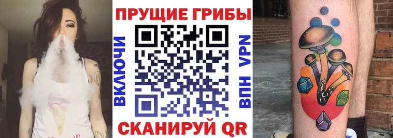 купить наркотик  Изобильный  Галлюциногенные грибы MAGIC MUSHROOMS 