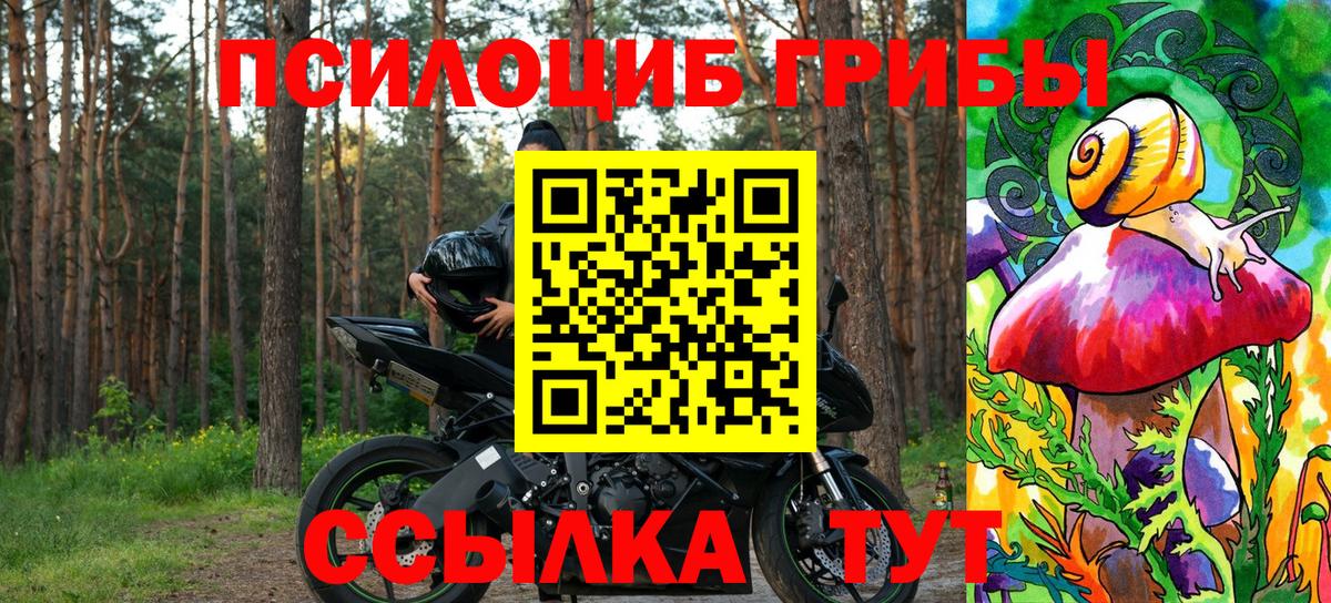 Галлюциногенные грибы GOLDEN TEACHER Изобильный