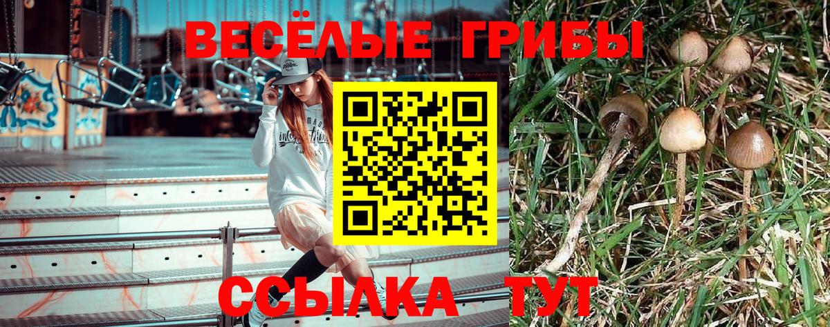 Галлюциногенные грибы мухоморы Изобильный